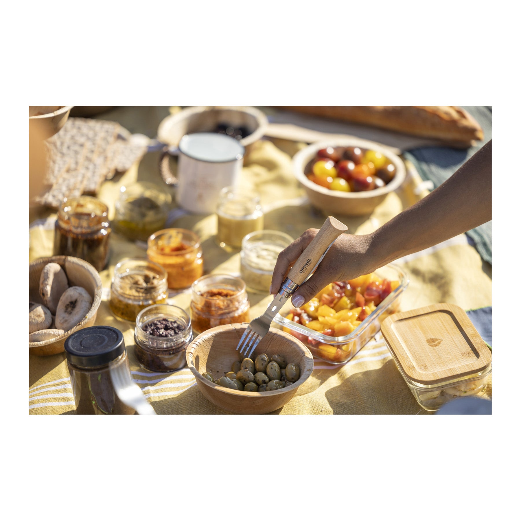 Picnic+ Set Folding Knife-5