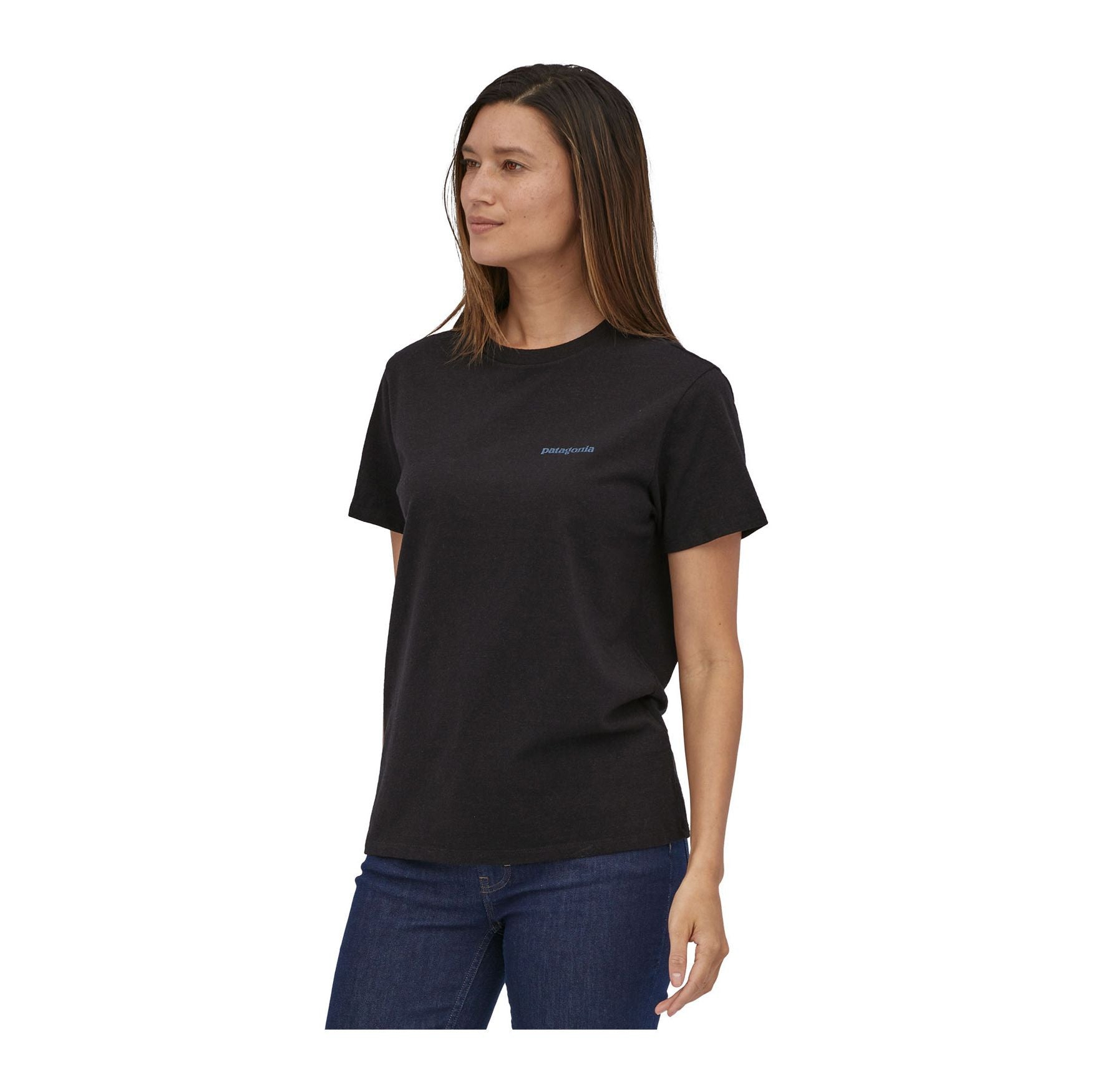 Fitz Roy Icon Responsibili-Tee, Ink black