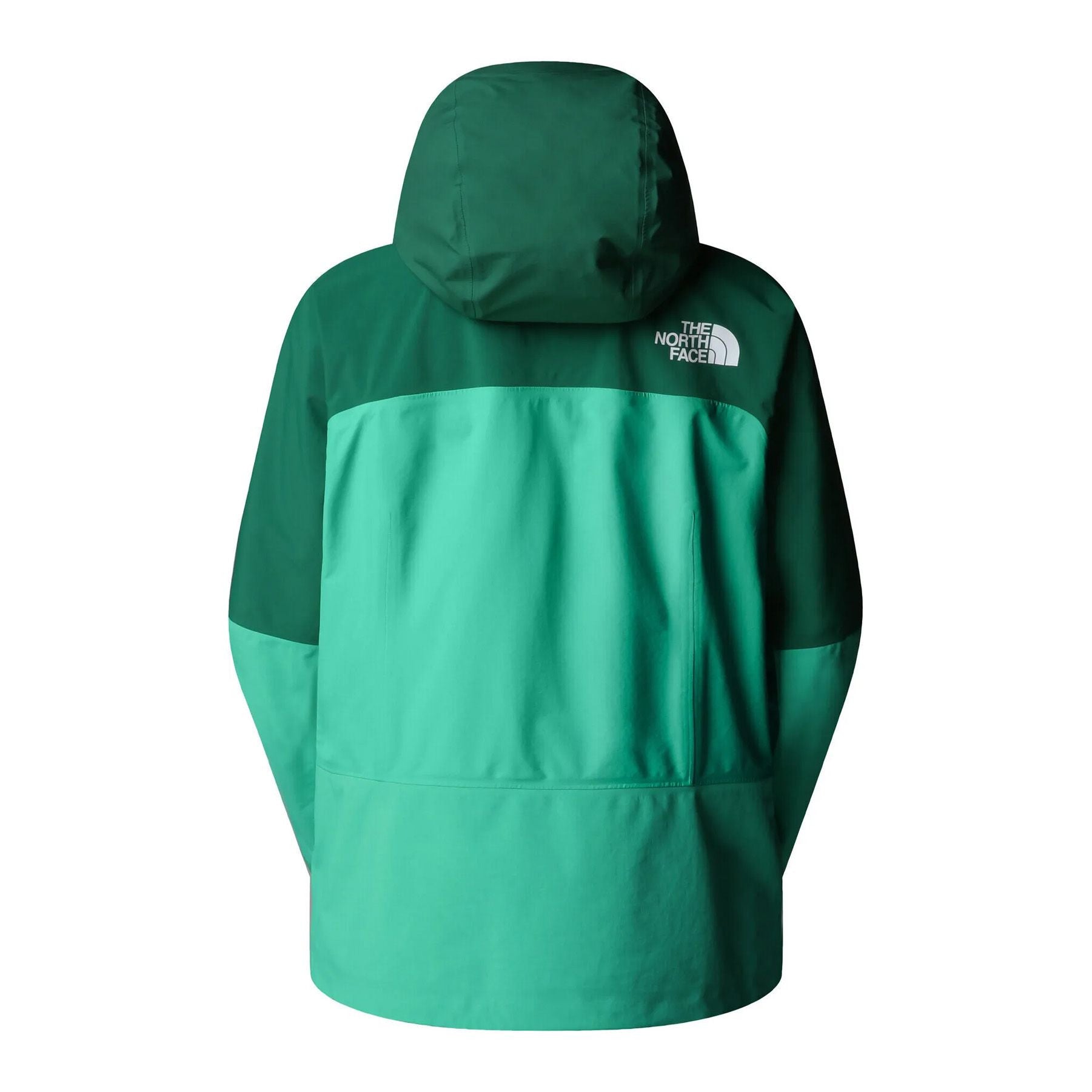 Summit Torre Egger FutureLight Jacket W, Nebula green evergreen